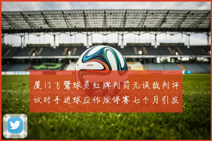 厦门飞鹭球员红牌判罚无误裁判评议对手进球应作废停赛七个月引发热议