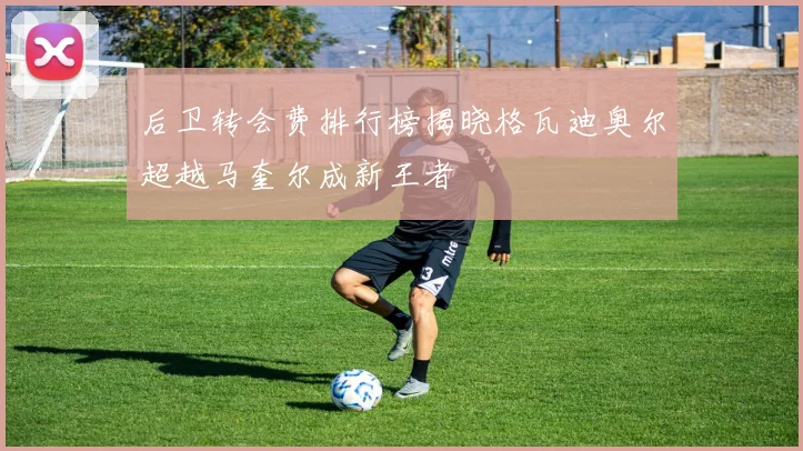 后卫转会费排行榜揭晓格瓦迪奥尔超越马奎尔成新王者