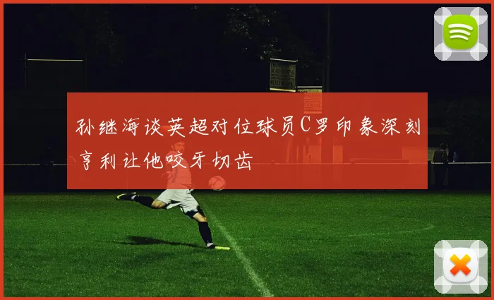 孙继海谈英超对位球员C罗印象深刻亨利让他咬牙切齿