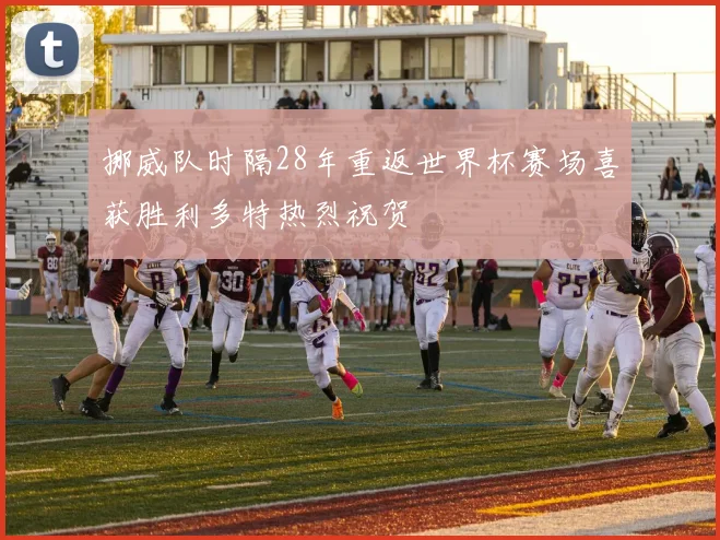 挪威队时隔28年重返世界杯赛场喜获胜利多特热烈祝贺